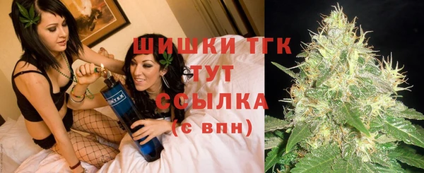 соль ск Горно-Алтайск