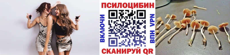 купить наркотики сайты  Изобильный  Галлюциногенные грибы мицелий 